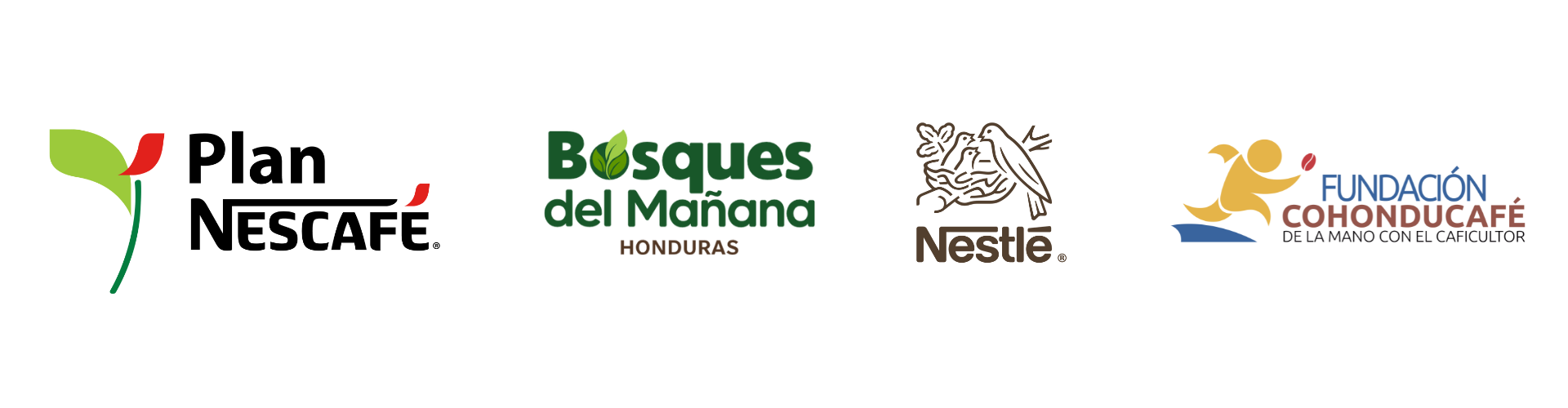 Logo Bosques del mañana